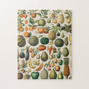 Quebra-cabeça Ilustração Científica Botânica Vegetal fruta