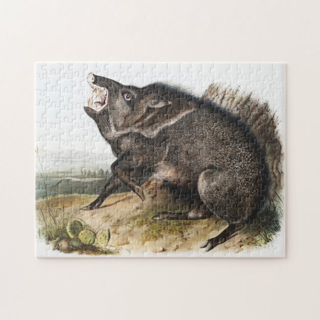 Quebra-cabeça Ilustração Collared Peccary Dycoteles torquatus (Horizontal)