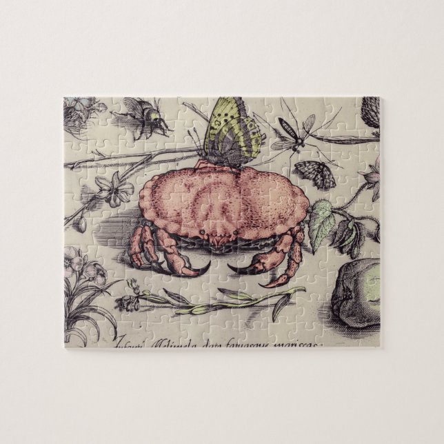 Quebra-cabeça Ilustração da Flor Botânica do Caranguejo (Horizontal)