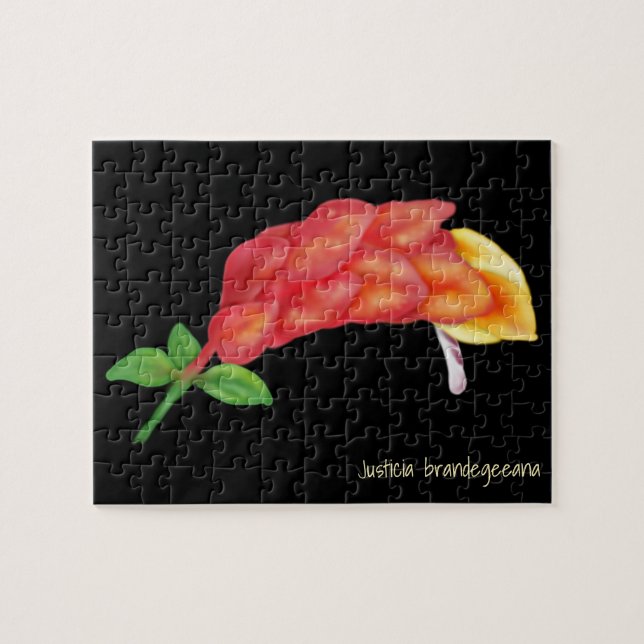 Quebra-cabeça Ilustração da Flor de Camarão Rosa (Horizontal)