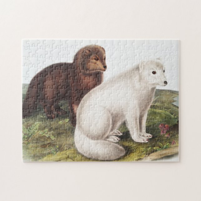 Quebra-cabeça Ilustração da Raposa Árctica (Vulpes lagopus) (Horizontal)