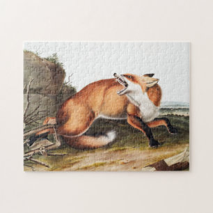 Quebra-cabeça Ilustração da Raposa Vermelha Americana (Vulpes Fu