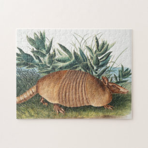 Quebra-cabeça Ilustração de Armadillo (Dasypus Peba) com nove fa