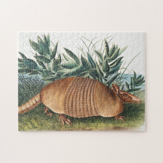 Quebra-cabeça Ilustração de Armadillo (Dasypus Peba) com nove fa (Horizontal)