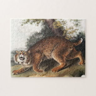Quebra-cabeça Ilustração de gato selvagem americano (Lynx rufus)