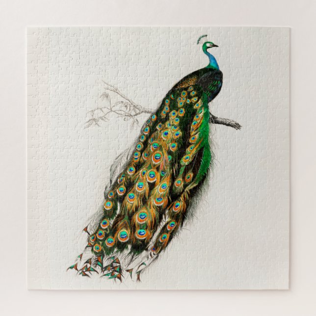 Quebra-cabeça Ilustração de Pavão Arte Impressa Vintage (Vertical)