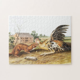 Quebra-cabeça Ilustração de Tawny Weasel (Putorius fuscus)