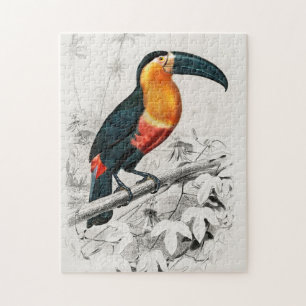 Quebra-cabeça Ilustração de Tucano Ramphastos Impressão de Arte 