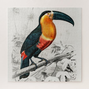 Quebra-cabeça Ilustração de Tucano Ramphastos Impressão de Arte