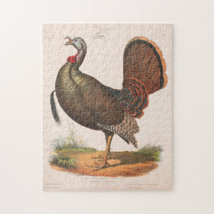 Quebra-cabeça Ilustração de Vintage Wild Turkey (1872)