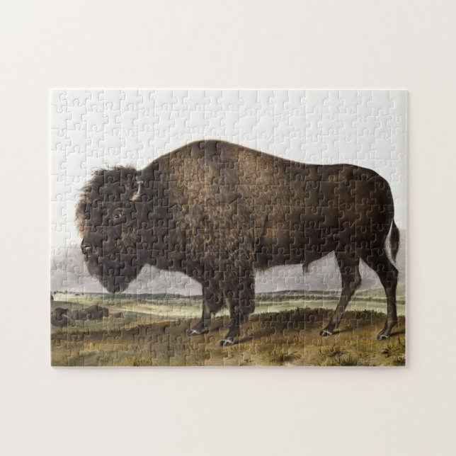 Quebra-cabeça Ilustração do American Bison (Bos Americanus) (Horizontal)