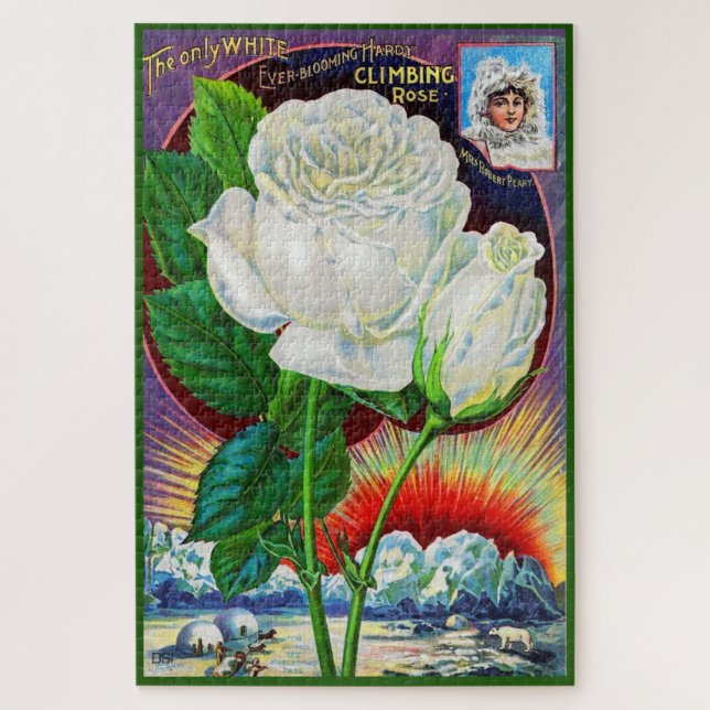 Quebra-cabeça Ilustração do catálogo rosa da década de 1890 Whit (Vertical)
