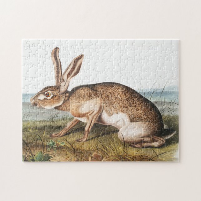 Quebra-cabeça Ilustração do Coelho da Lepus Texianus (Horizontal)