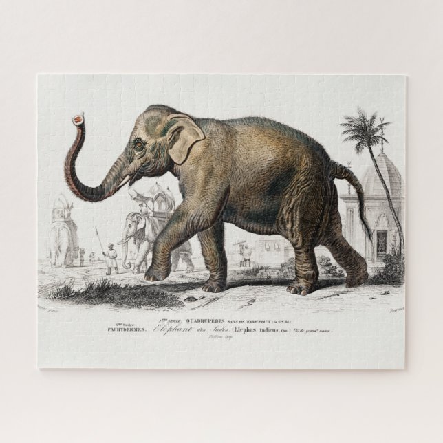 Quebra-cabeça Ilustração do Elefante Asiático Vintage 1892 (Horizontal)