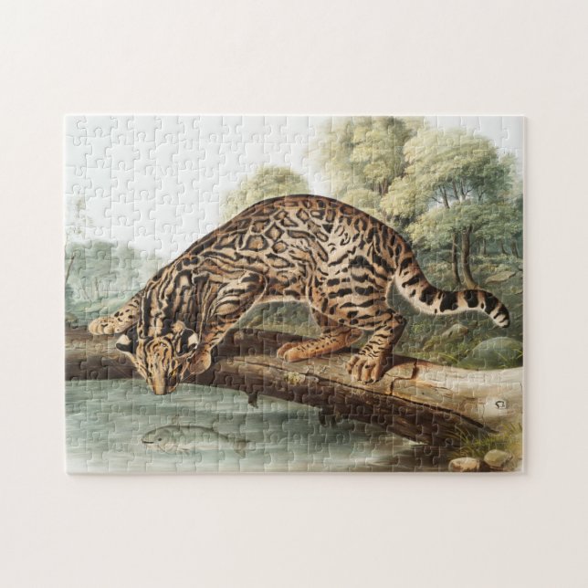 Quebra-cabeça Ilustração Ocelot, Gato-Leopardo (Felis pardalis) (Horizontal)