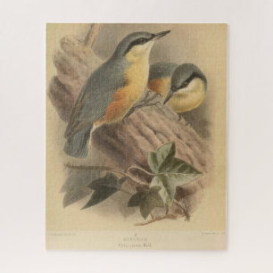 Quebra-cabeça Ilustração Vintage de Nuthatch
