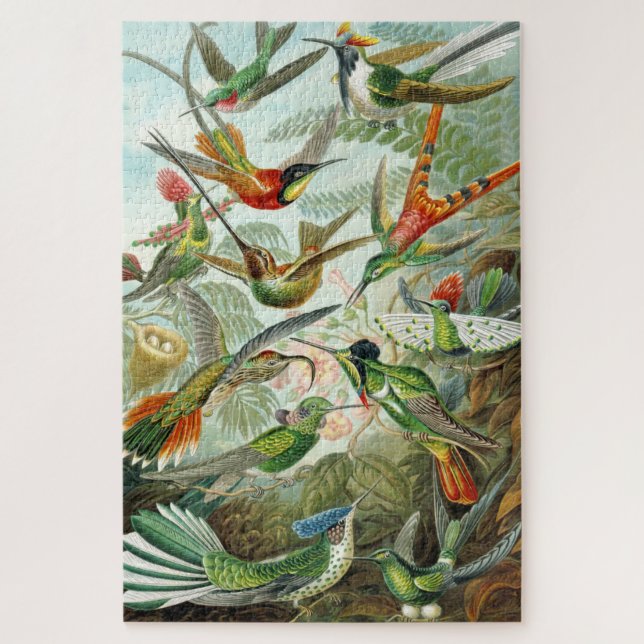 Quebra-cabeça Ilustrações de Hummingbird 1899, Ernst Haeckel, (Vertical)