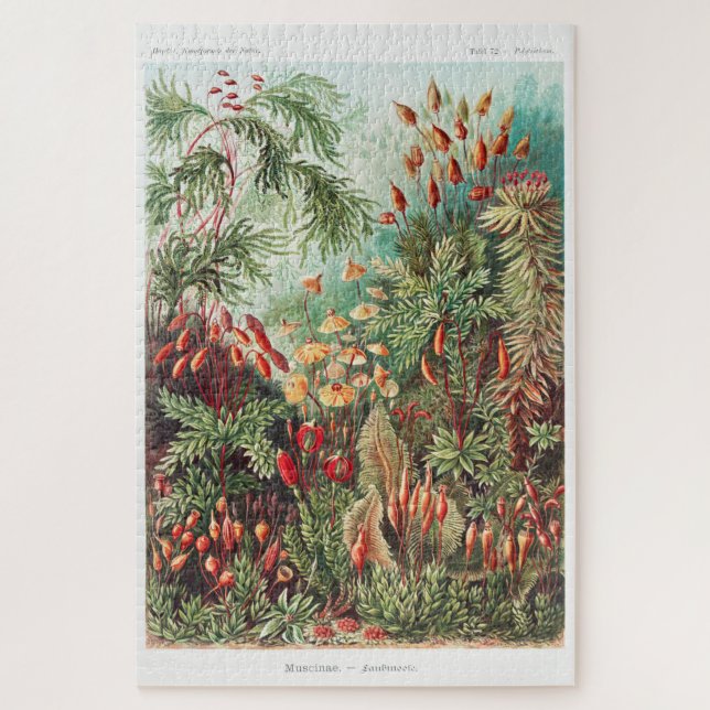 Quebra-cabeça Imagem da Vintagem Artística Natureza Ernst Haecke (Vertical)