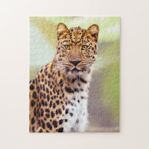 Quebra-cabeça Imagem de Fotografia Leopard