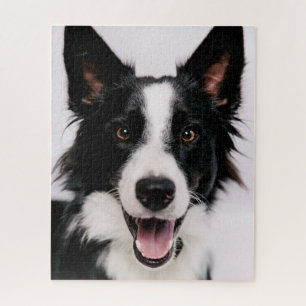 Quebra-cabeça Imagens de Getty A border collie de sorriso