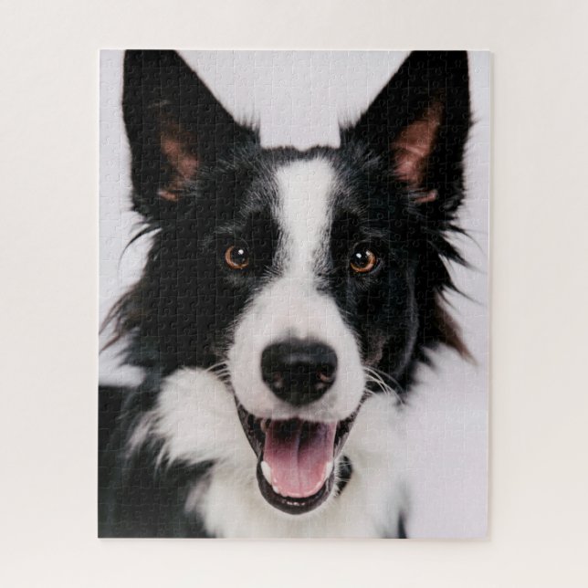 Quebra-cabeça Imagens de Getty | A border collie de sorriso (Vertical)