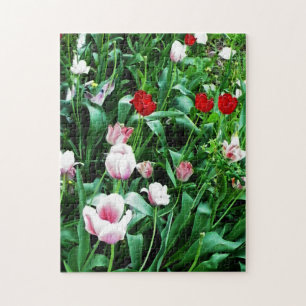 Quebra-cabeça Imagens de Tulipas Vermelhas e Rosa