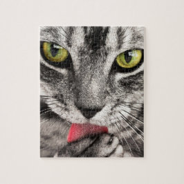 Quebra-cabeça impossível - Cinza stripper