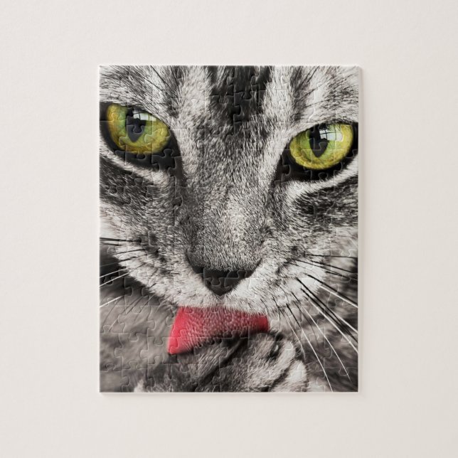 Quebra-cabeça impossível - Cinza stripper (Vertical)