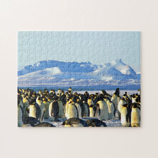 Quebra-cabeça impossível - Colônia de Pinguins (Horizontal)