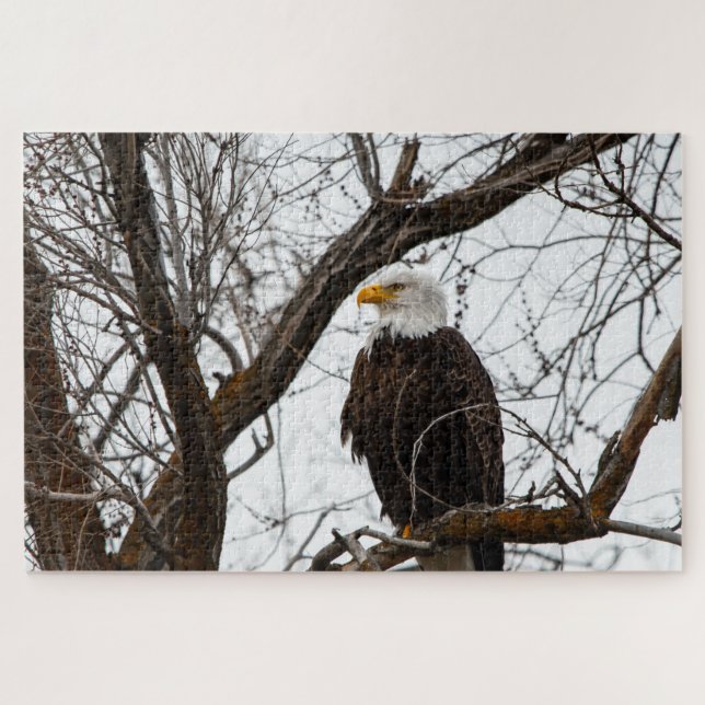 Quebra-cabeça impossível - Haliaeetus (Horizontal)