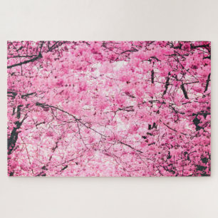 Quebra-cabeça impossível - Sakura
