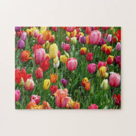 Quebra-cabeça Impossível - Tulipas