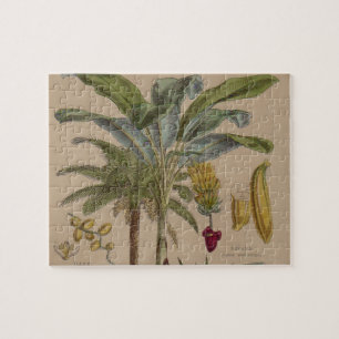 Quebra-cabeça Impressão botânico antigo - fruta tropical