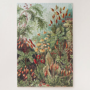 Quebra-cabeça Impressão da Natureza de Musgo de Ernst Haeckel Ac
