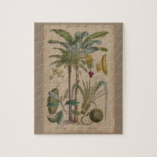 Quebra-cabeça Impressão de Botânica Antiquado - Fruta Tropical