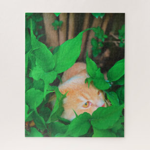 Quebra-cabeça Impressão de gato de estimação bonito