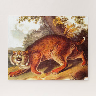 Quebra-cabeça impressão de lince do século XIX