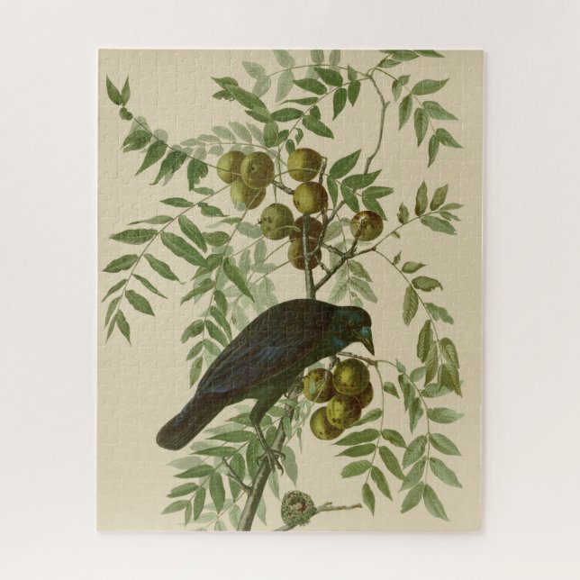 Quebra-cabeça Impressão de pássaro rouxinol-púrpura de Audubon V (Vertical)