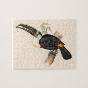 Quebra-cabeça Impressão do Tucano-de-bico-preto de Cuvier: Ave T