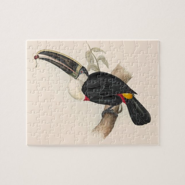 Quebra-cabeça Impressão do Tucano-de-bico-preto de Cuvier: Ave T (Horizontal)