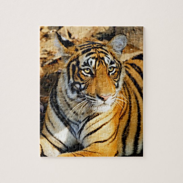 Quebra-cabeça Índia, Sawai Madhopur, Nacional Ranthambore (Vertical)