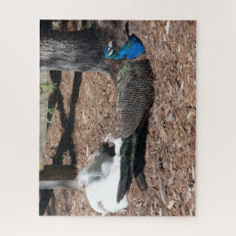 Quebra-cabeça Indian Blue and White Pheasants jigsaw Puzzle