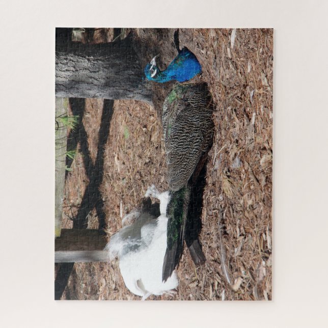 Quebra-cabeça Indian Blue and White Pheasants jigsaw Puzzle (Vertical)