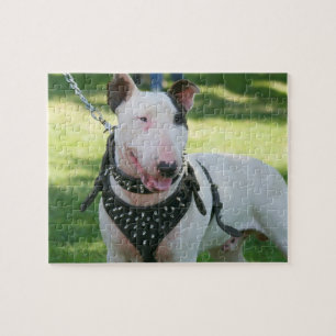 Quebra-cabeça Inglês bull terrier