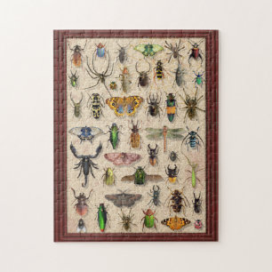 Quebra-cabeça Inseto Coleção Insetos Entomologia Diversão
