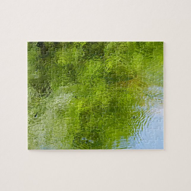 Quebra-cabeça Insetos de água no Parque Estadual de Laurel Hill (Horizontal)