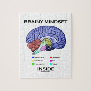 Quebra-cabeça Interior Brainy do Mindset (cérebro anatômico)