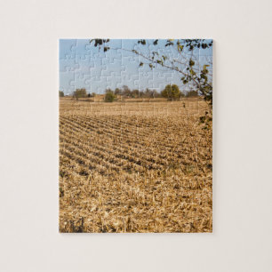 Quebra-cabeça Iowa Cornfield Panorama Foto