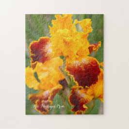 Quebra-cabeça Iris ‘Michigan Pride’ [quebra-cabeça de Jigsera: 2