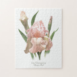 Quebra-cabeça Íris Rosa Corada